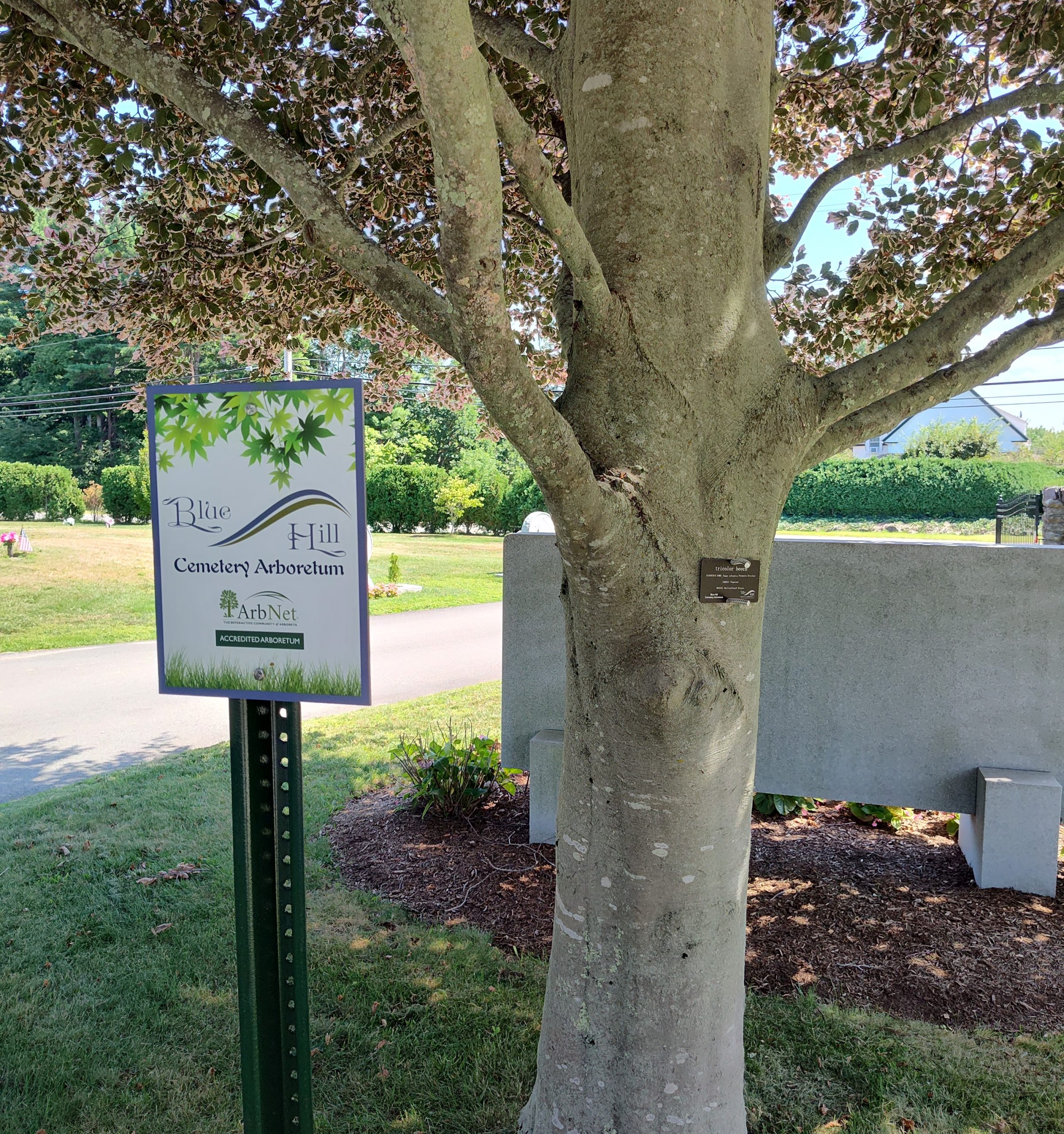 ARBORETUM - TWO SIGNS
