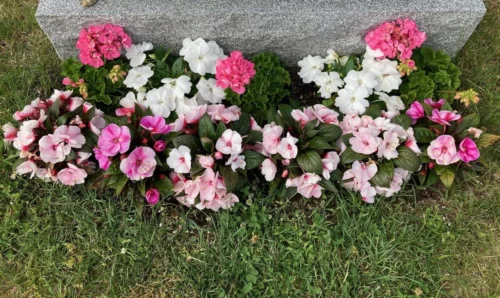 Summer Garden