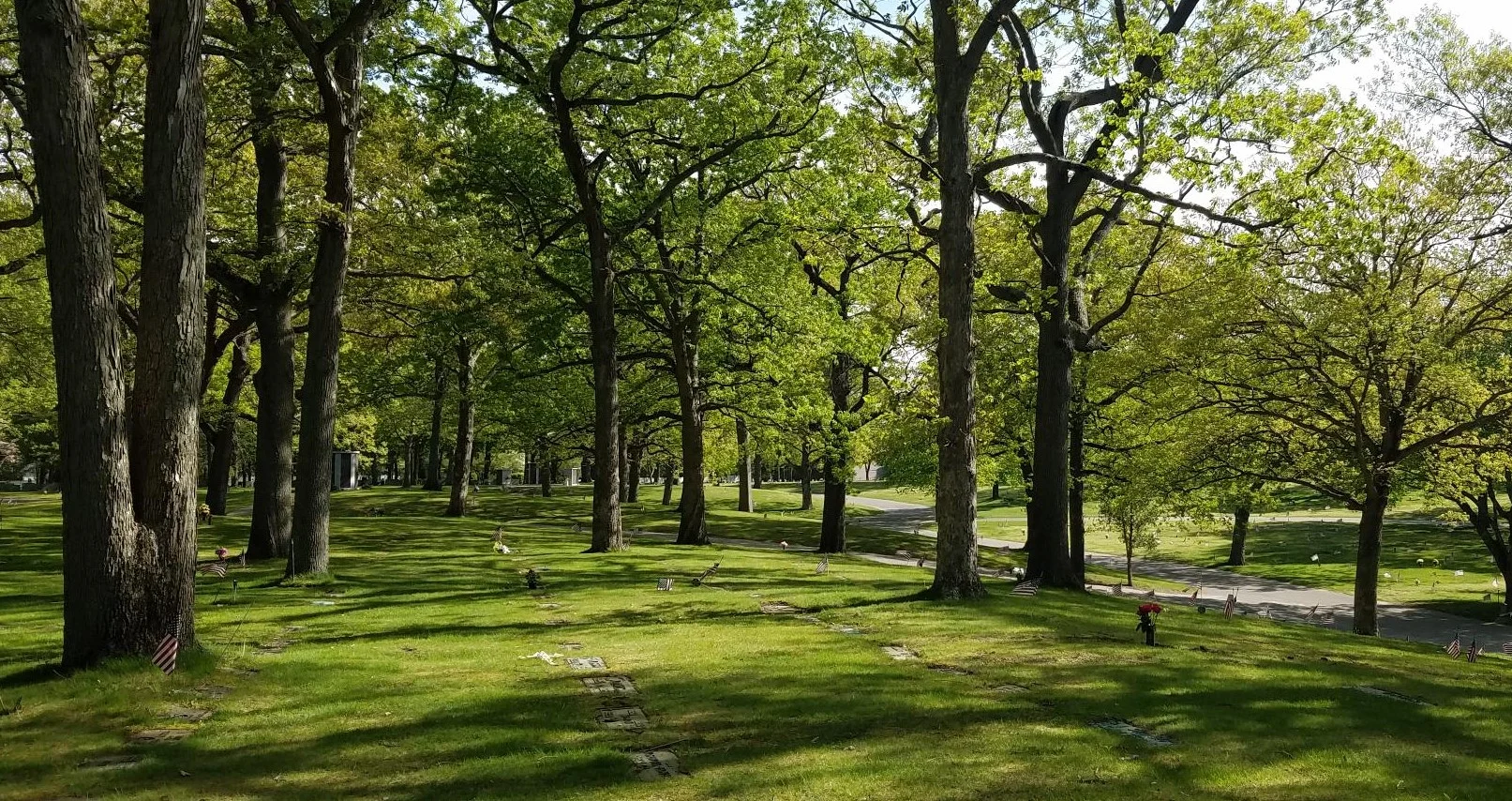 MEM-PARK-9-1